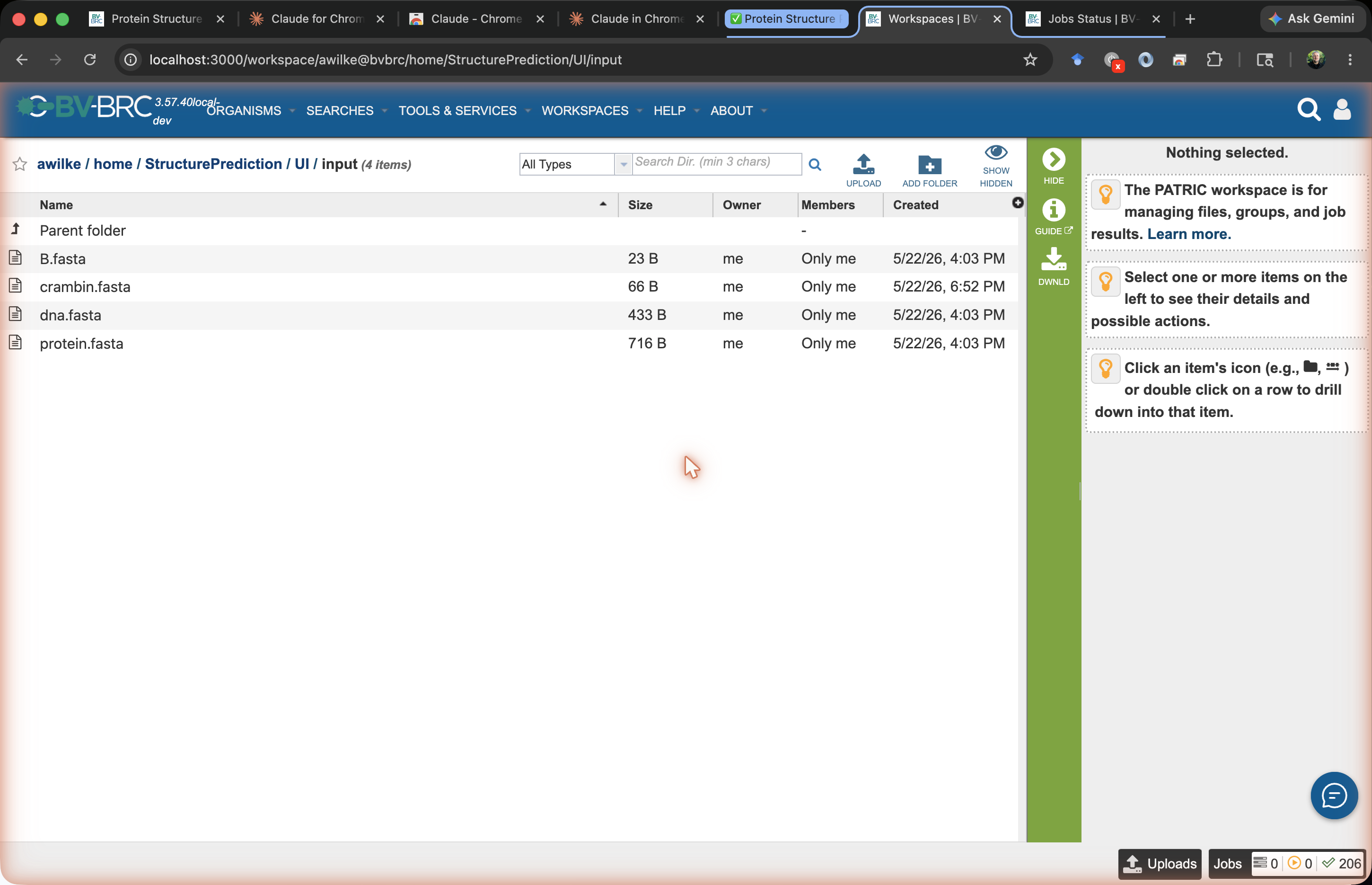 Workspace folder showing crambin.fasta uploaded