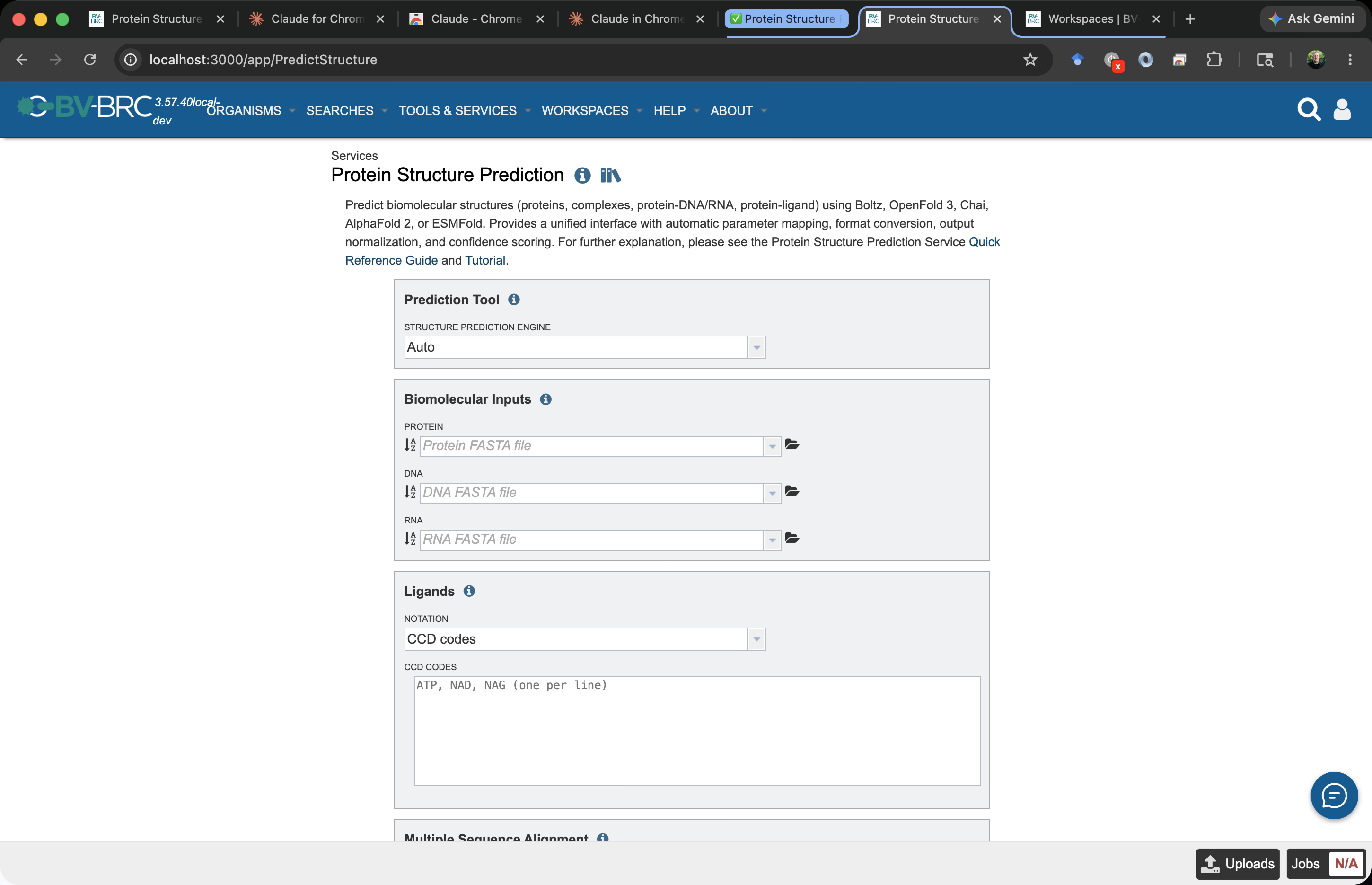 Empty Protein Structure Prediction form