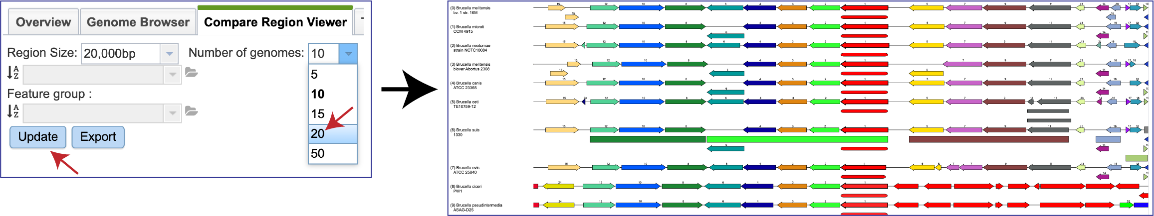 Genome Number