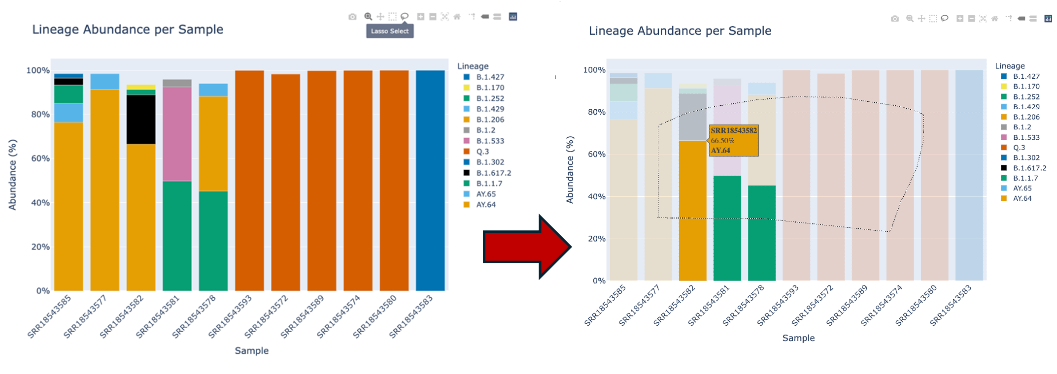 An image of the plotly lasso icon.