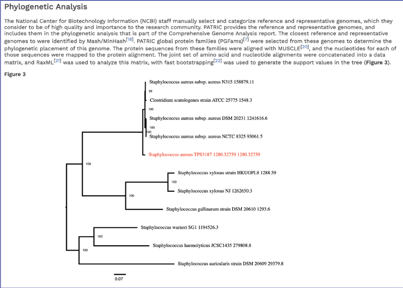 Figure 16