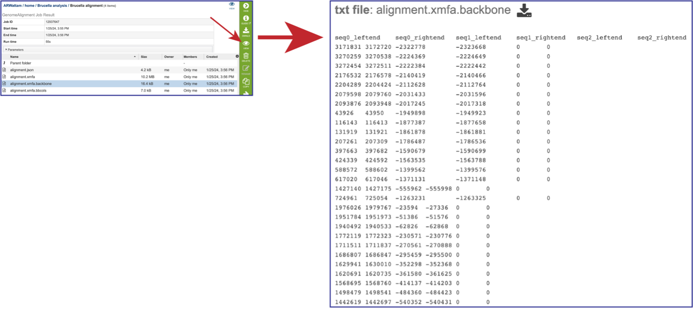 Figure 19