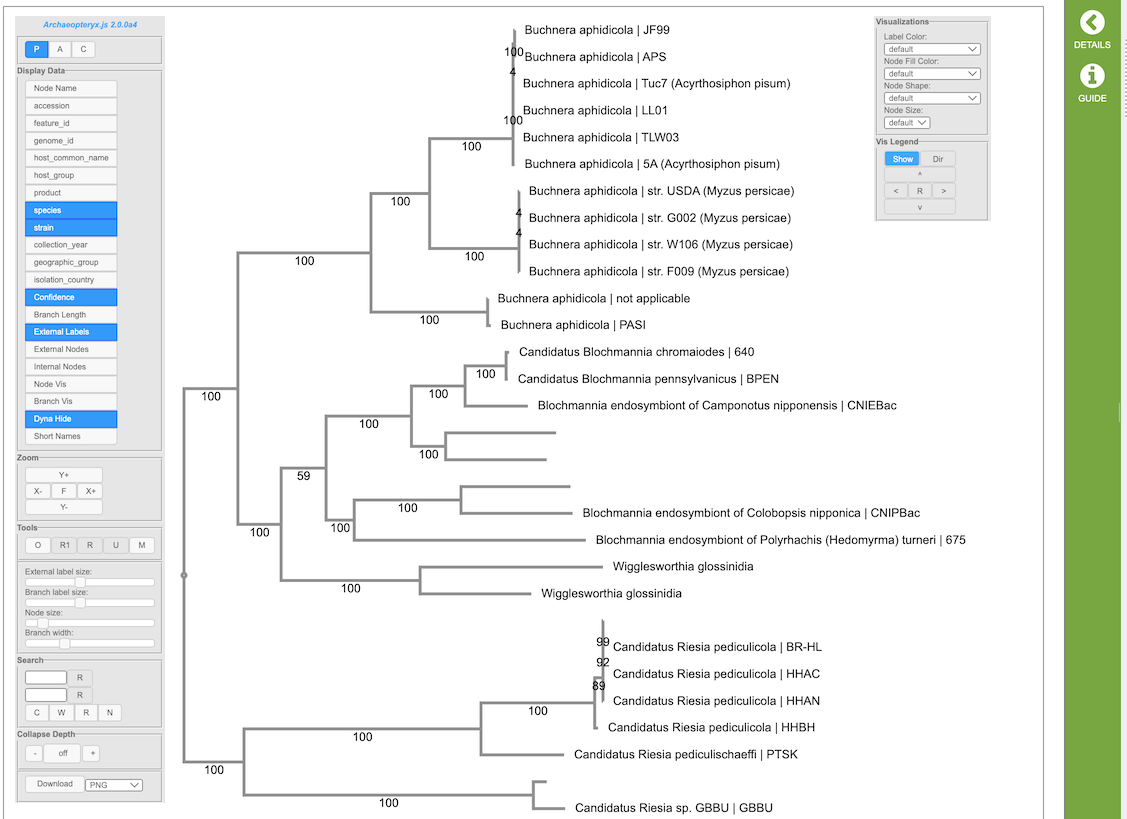 Figure 19b