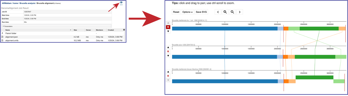 Figure 21