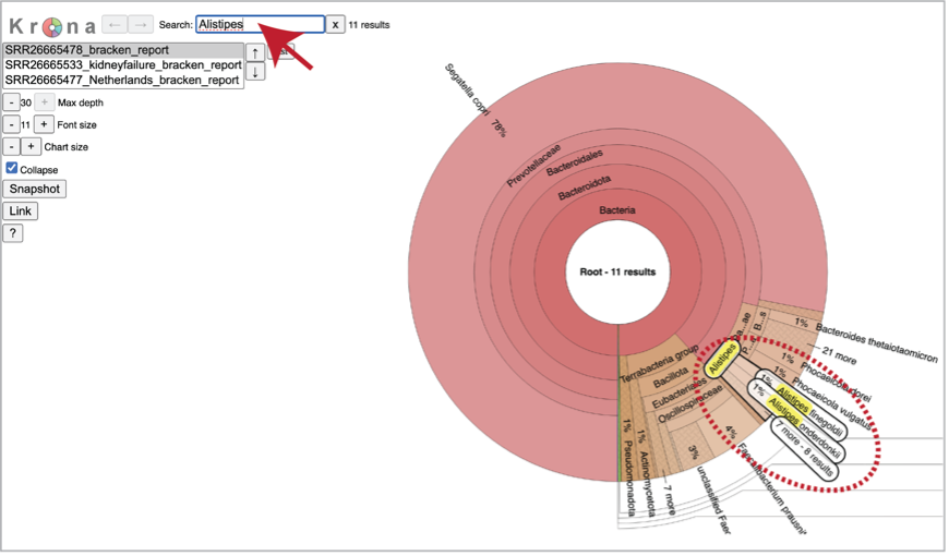 Figure 29