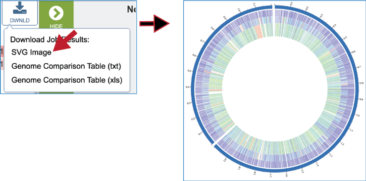 Figure 29