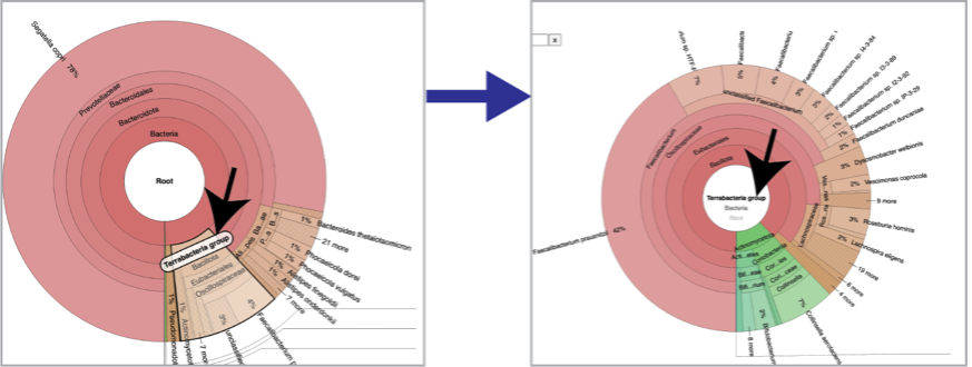 Figure 30