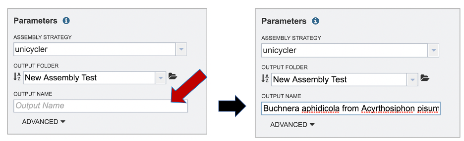 Figure 30