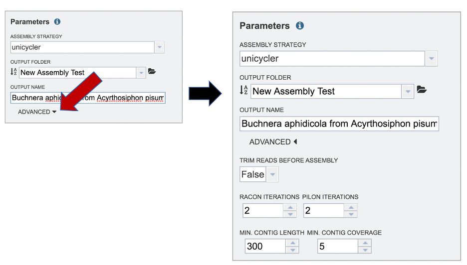 Figure 31