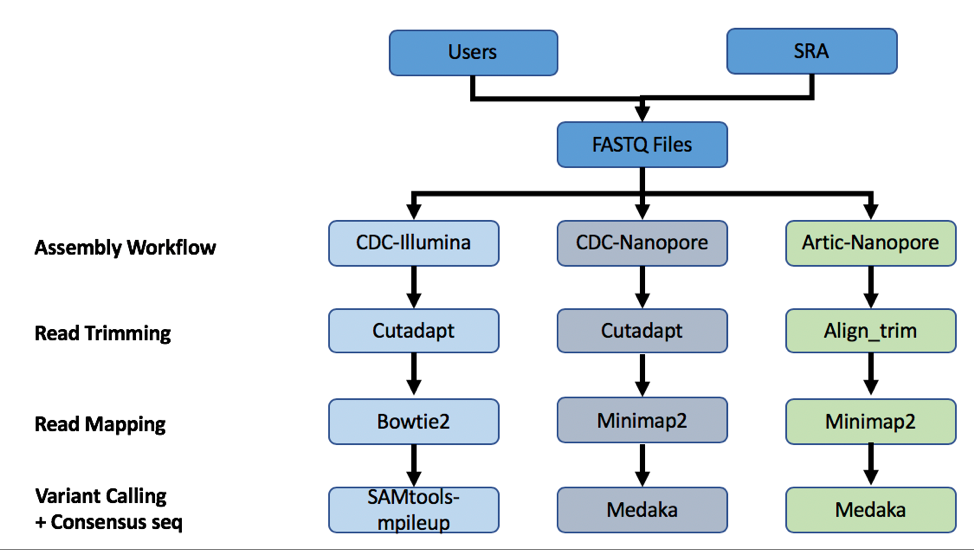 Figure 31