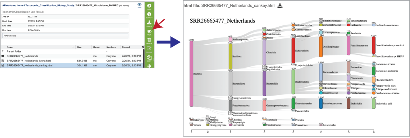 Figure 31