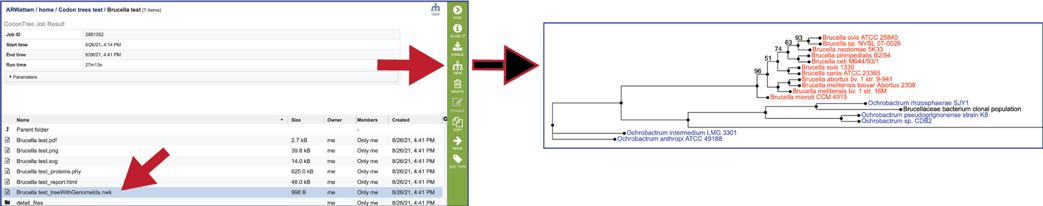 Figure 35