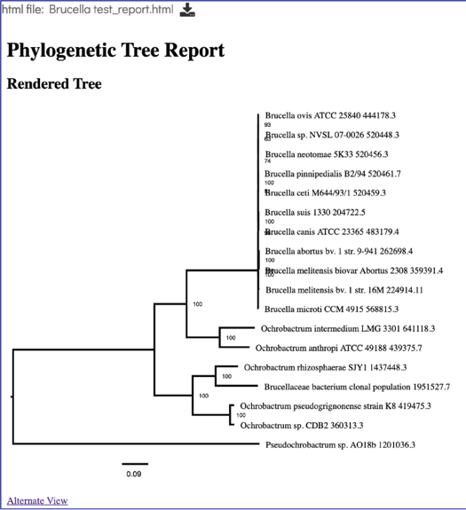Figure 5