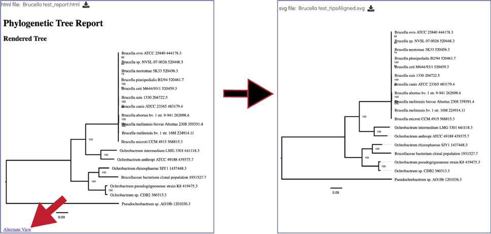 Figure 53