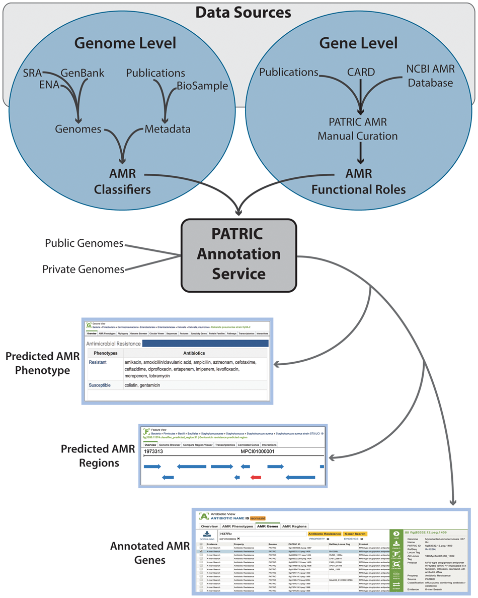 Antibiotics Resisitance Process