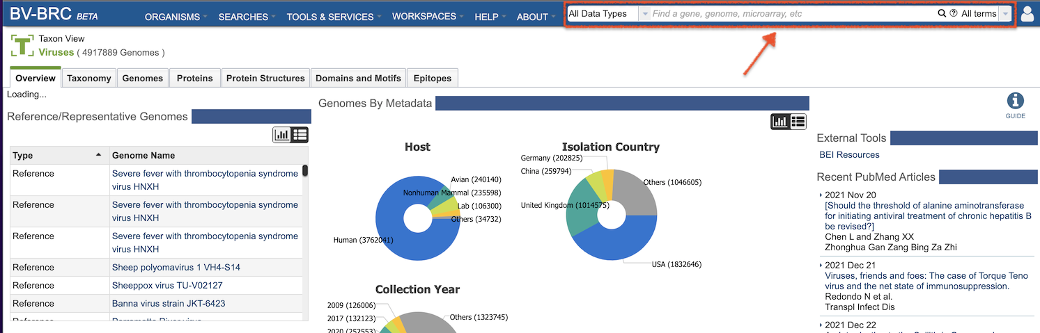 BV-BRC Global Search