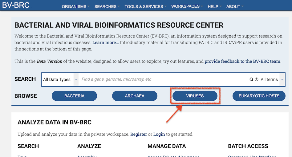 BV-BRC homepage virus navigation