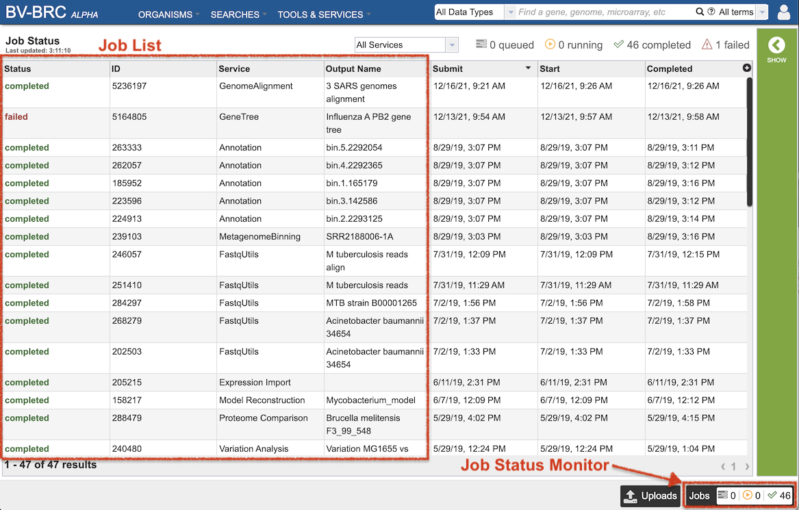Job Status Page
