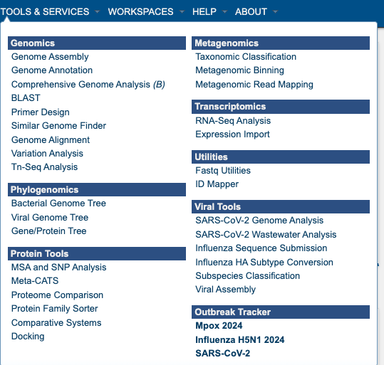 ../_images/bv_services_menu1.png