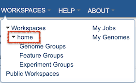 BV-BRC Workspaces Menu