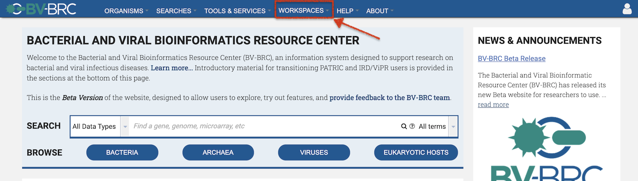 BV-BRC Workspaces Top Menu