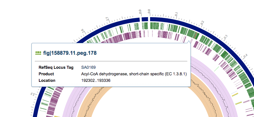 Circular Genome Viewer Features