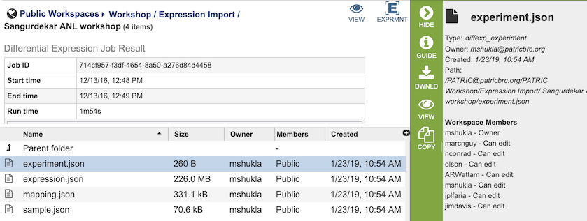 Expression Import Service Output Files