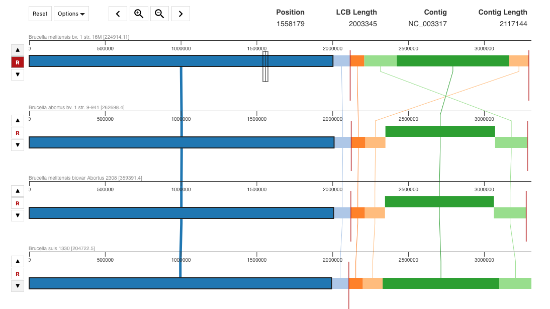 Genome Alignment Report