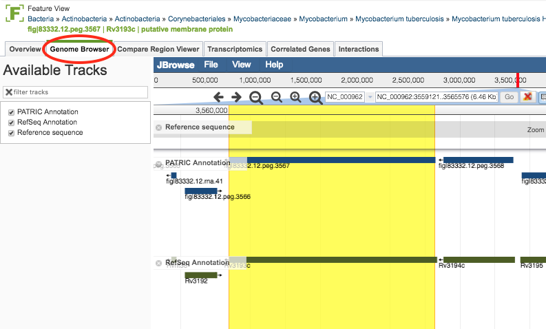 Genome Browser