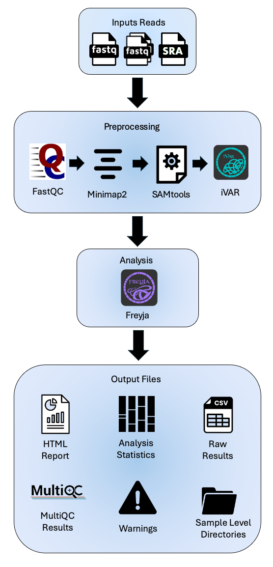 An overview of the analysis pipeline