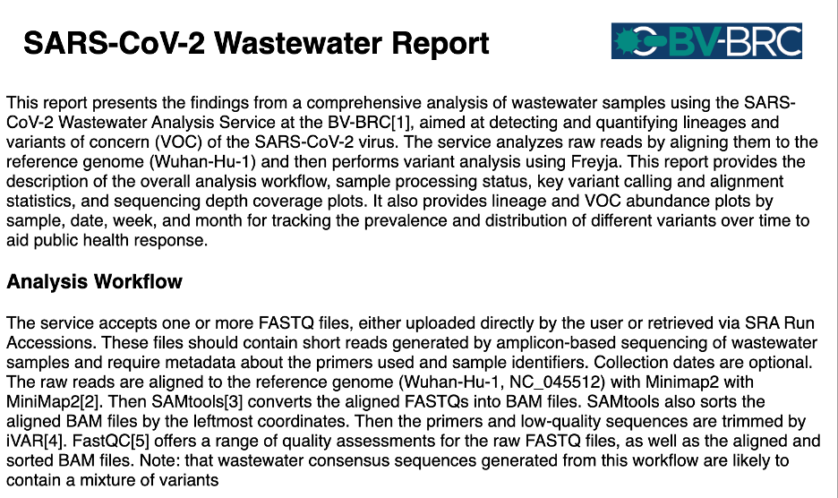 An image of the top of the report file.