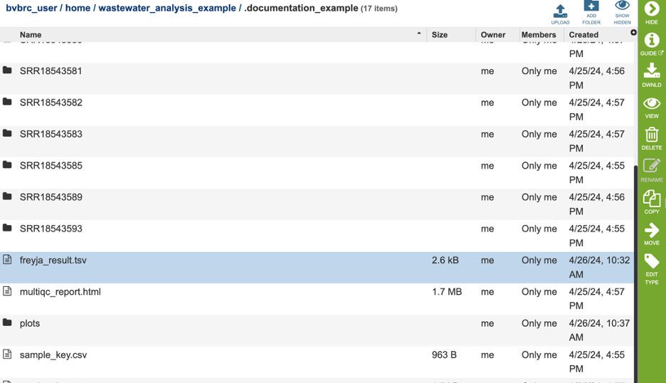 An image of the job results with the raw Freyja results selected.