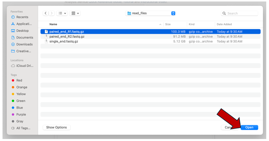 An image of an example file being selected for upload.