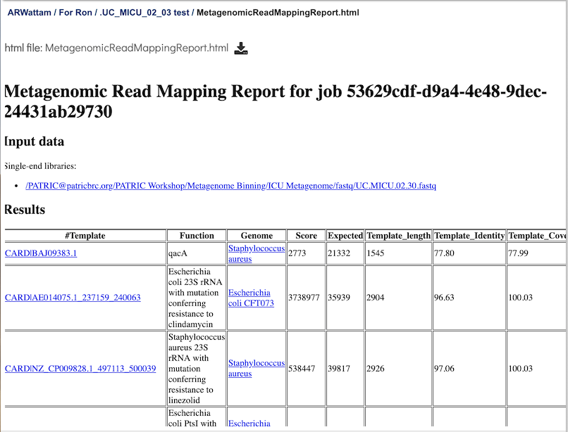 KMA Read Mapping Report