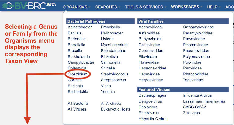 Organisms Menu Option