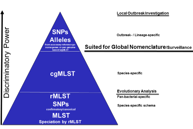 an image of the outbreak tracking triangle
