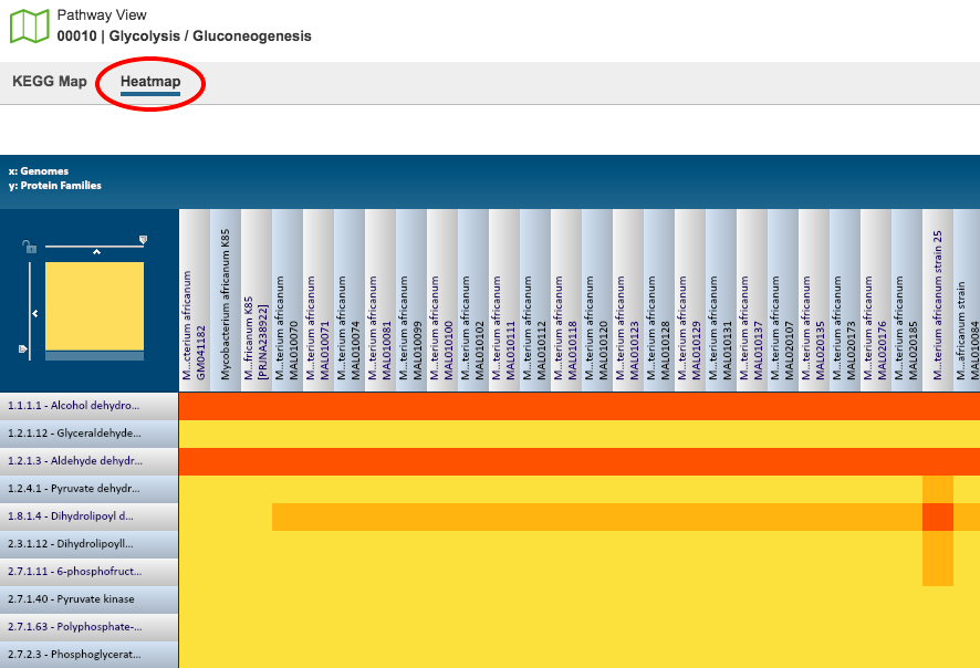 Pathway View - Heatmap