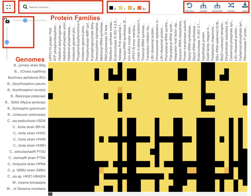 Protein Family Sorter Heatmap