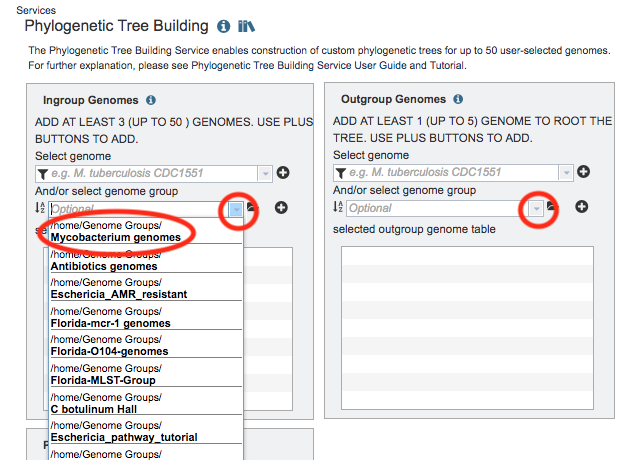 Phylogenetic Tree Using Genome Group