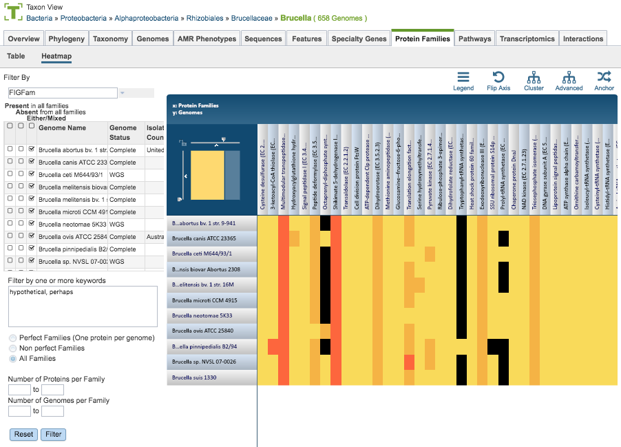 Protein Family Sorter Heatmap