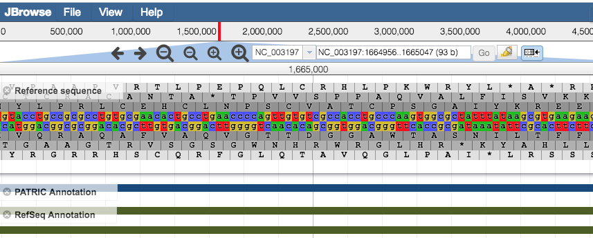 Reference Sequence