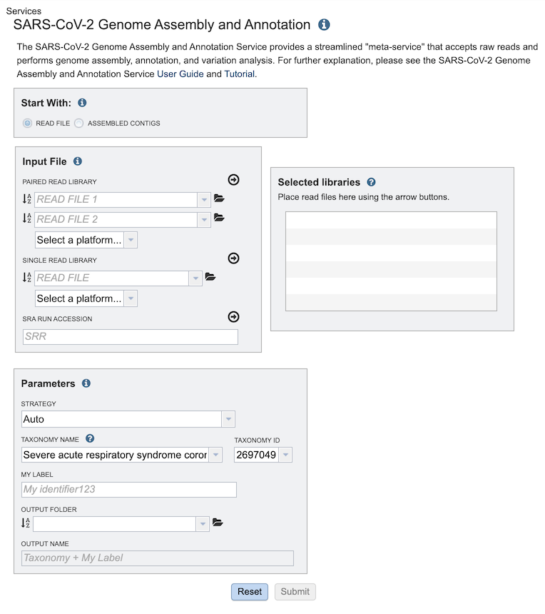 Input Form