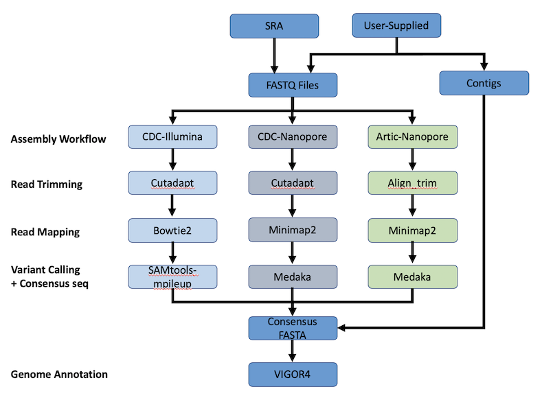 SARS-CoV-2 Assembly and Annotation Workflow