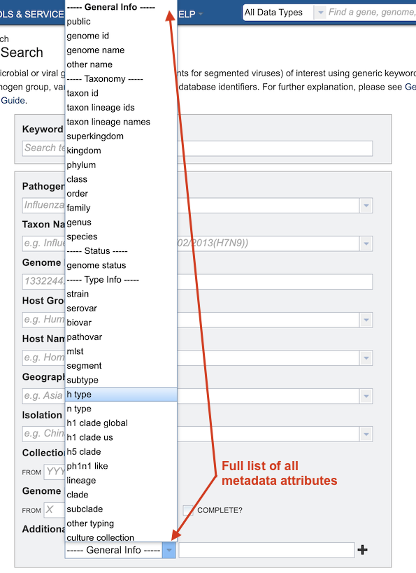 Additional Metadata Attributes