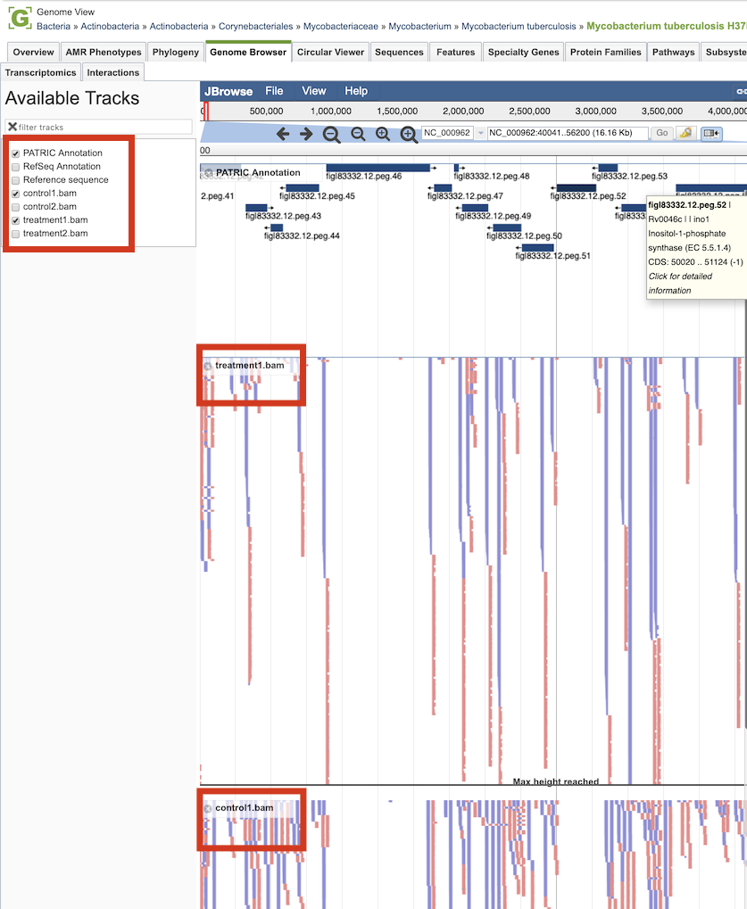 Tn-Seq Data in Genome Browser