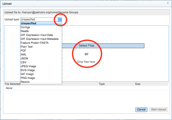 Upload Dialog Box