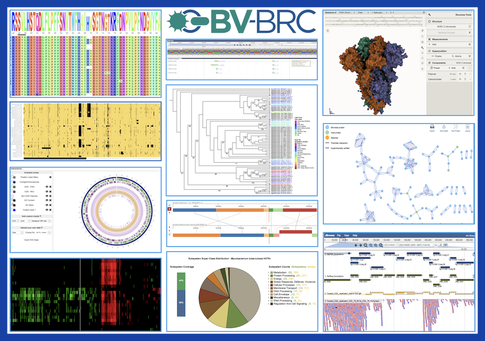 BV-BRC Website